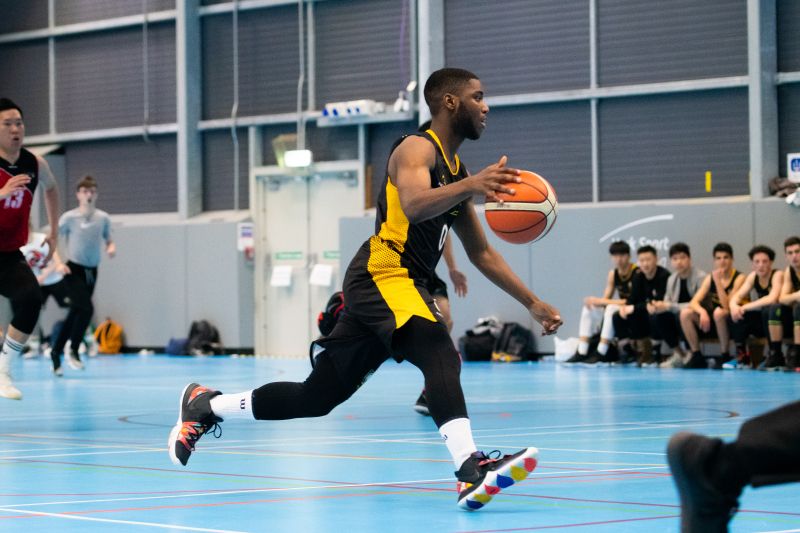 稳定性和凝 稳定性和凝