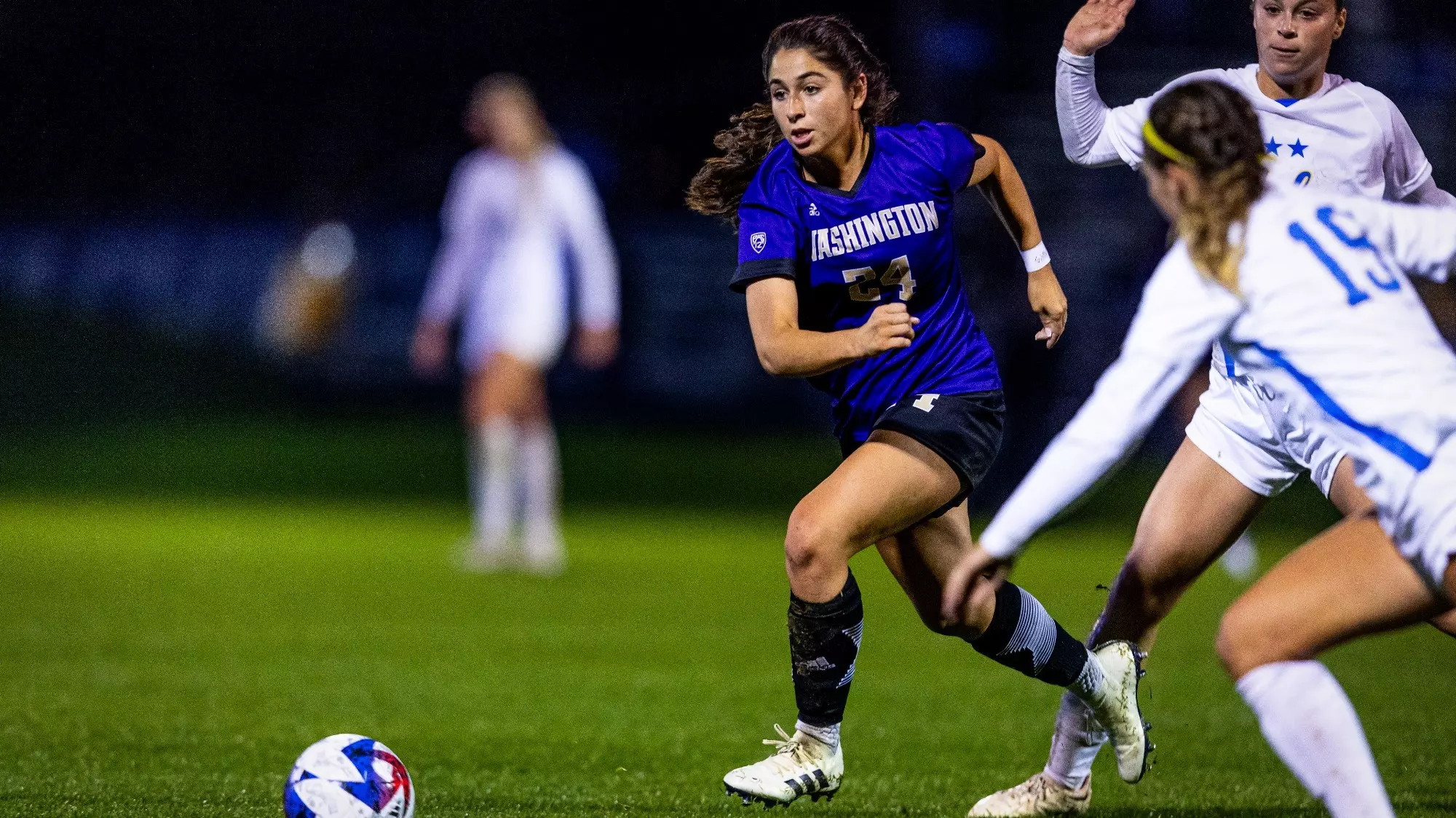 全球熊猫伙 全球熊猫伙