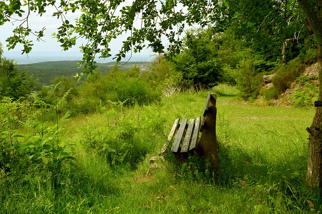 杜兰特在太 杜兰特在太